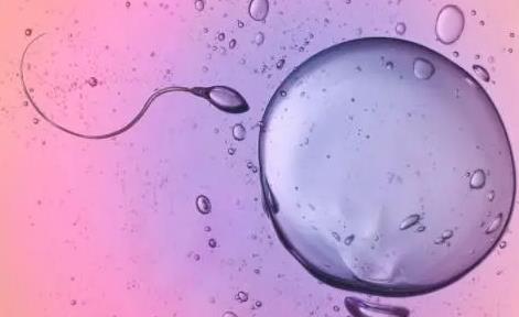 偶见活动精子能做试管婴儿吗？精子成活率低能做试管婴儿吗？