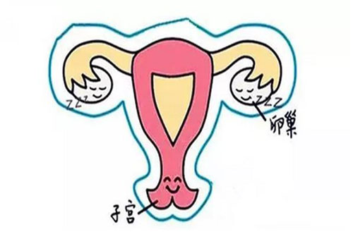 33岁可以检查卵巢早衰吗？如何判断女性是否卵巢早衰？