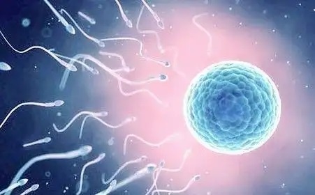 染色体导致无精症多吗？先天性无精子症怎么回事？