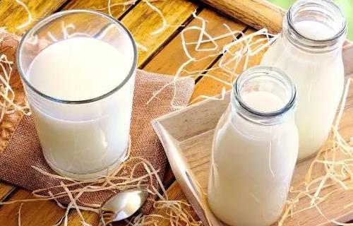 做试管喝什么牛奶好？做试管喝纯牛奶能提高机率吗？