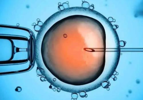 二代试管能移植鲜胚吗?试管移植鲜胚要什么条件?