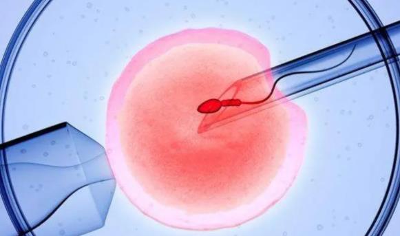 移植鲜胚怎么算孕周?移植鲜胚十二天后能测早早孕吗?