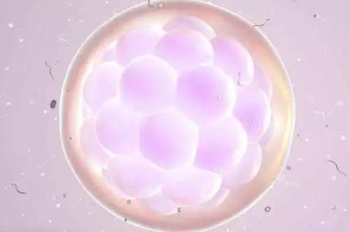 排卵期是卵子排出吗？排卵期排出的卵子像水一样？